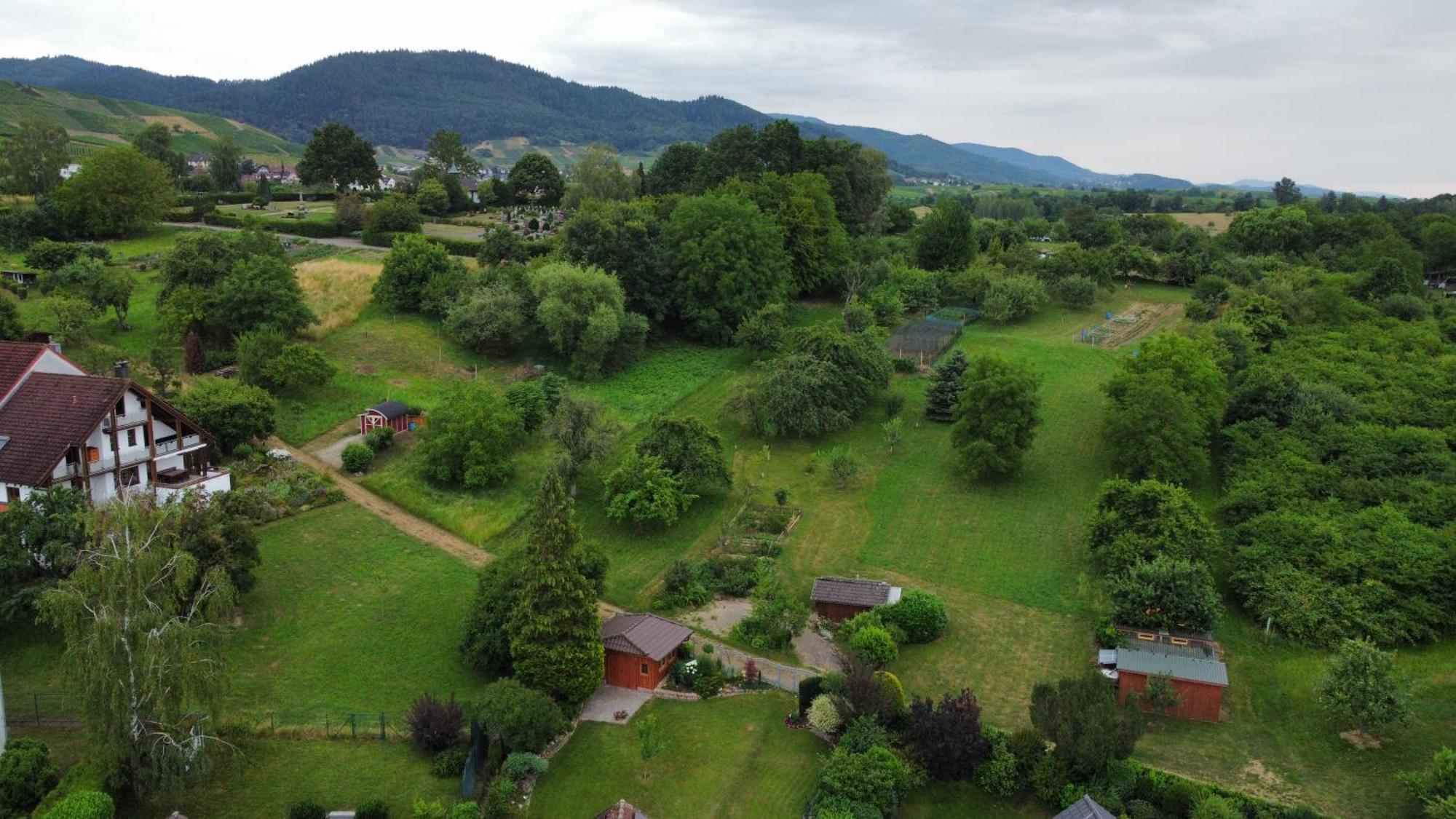 Herrnberg Appartement Baden-Baden